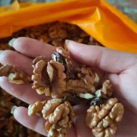 مغز گردو|خوردنی و آشامیدنی|قم, جهان بینی|دیوار