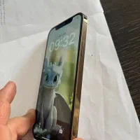 12Pro