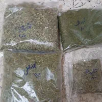 اویشن.بابونه.شوید