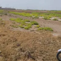 زمین