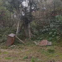 ۵۰۰متر زمین خانه و محوطه جنگلی|فروش خانه و ویلا|شفت, |دیوار