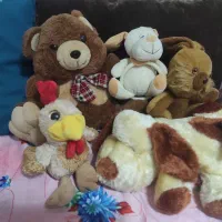 عروسک|اسباب‌بازی بچه|رستم‌آباد, |دیوار