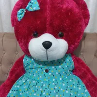 شاسخین گوگولی