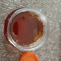 عسل طبیعی خراسان|خوردنی و آشامیدنی|دابودشت, |دیوار