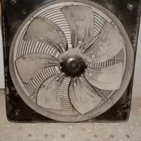 فن 50در50|پنکه و تصفیه‌کنندهٔ هوا|برازجان, |دیوار