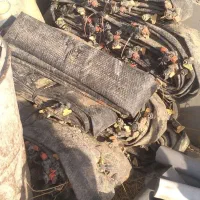 شیلنگ قطره ای شیردار