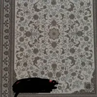 دو تخته فرش 12متری|فرش|دوگنبدان, |دیوار
