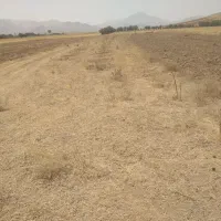 فروش زمین دیم سه هزار متری مناسب|فروش دفتر صنعتی، کشاورزی، تجاری|همدان, |دیوار