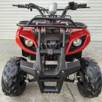 چهار چرخ 125cc چهارچرخ دنده عقب دار