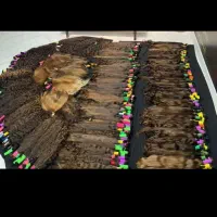 منبع اصلی فروش موهای طبیعی کد ۹۰۴۵