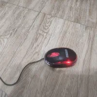 موس  کاملا سالم