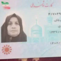 یک کیف دستی گم شده است