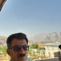 فروش زمین واحدپرواربندی بره