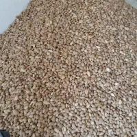 بادام شیرین