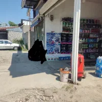 فروش استثنایی مغازه ۲۳متری ۲بر محدوده امام علی|فروش مغازه و غرفه|رشت, آب آسیاب|دیوار