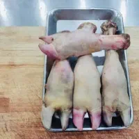 الایش گوسفندی و گوساله