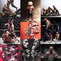 باشگاه تخصصی MMA و جوجیستو bjjو کاراته mfc|خدمات آموزشی|اردبیل, |دیوار