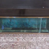 آکواریوم بزرگ با میز تلویزیون