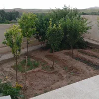 پرستاری از دخترخانم که ام اس دارن