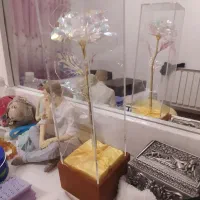 چراغ خواب|چراغ خواب و آباژور|تهران, نیروی هوایی (پیروزی)|دیوار