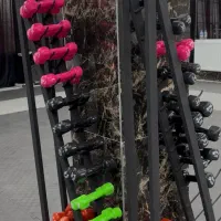 آموزش رشته دفاع شخصی|خدمات آموزشی|املش, |دیوار