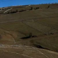 زمین-250-متری-بهترین-لوکیشن-شمال