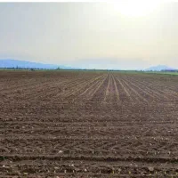 زمین-بهارستان