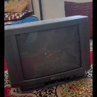 تلویزیون