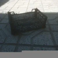 سبد دورج میوه