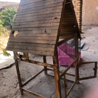 قفس چوبی|لوازم جانبی حیوانات|الوند, |دیوار