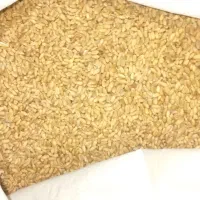 گندم|خوردنی و آشامیدنی|شوش, |دیوار