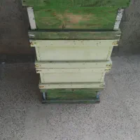 کندوی زنبورعسل
