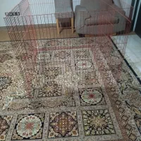 پارک سگ وایرانت پلاستیکی