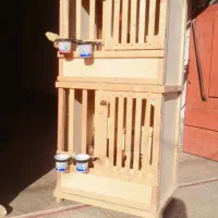 گنجه خروس لاری چوب نراد