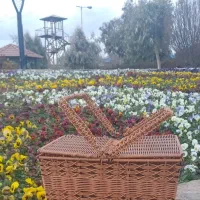 کیف سبد پیکنیک