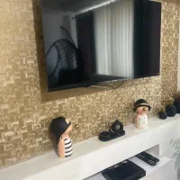 تلوزیون دوو