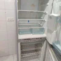 یخچال سالم|یخچال و فریزر|شیراز, جوادیه|دیوار