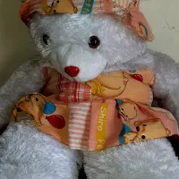 خرس یک متری