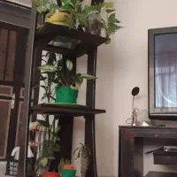 ویترین و استند