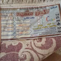 فرش ماشینی|فرش|شیراز, زند|دیوار