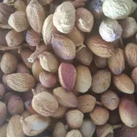 کارگر خانم
