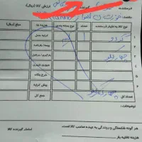 گردو کردستان همه رقمه|خوردنی و آشامیدنی|قم, ارم|دیوار
