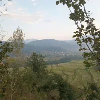 اجاره ویلا روستایی، جنگلی