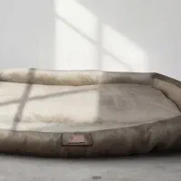 جای خواب سگ (عمده)