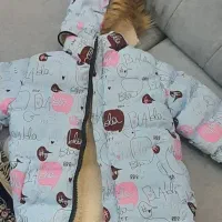 کاپشن بچگانه|کفش و لباس بچه|مریوان, |دیوار