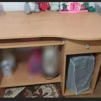 میز کامپیوتر و صندلی