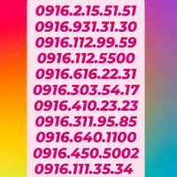 0916.010.3004