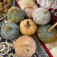 تعدادی کدو|خوردنی و آشامیدنی|واجارگاه, |دیوار