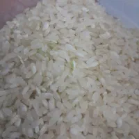 حبوبات|خوردنی و آشامیدنی|مرودشت, ژیان|دیوار