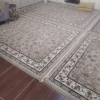 فرش 700شانه فیلی بدون زدگی|فرش|سرپل ذهاب, |دیوار